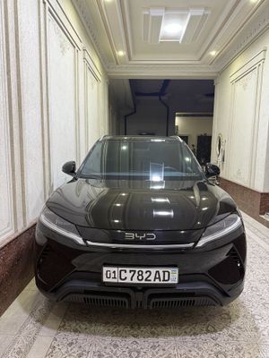 BYD Yuan Up 2025 NAXT yoki ARENDA