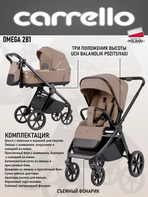 Коляска Carello Omega 2в1