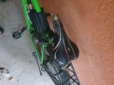 Velik sotiladi 26 razmer