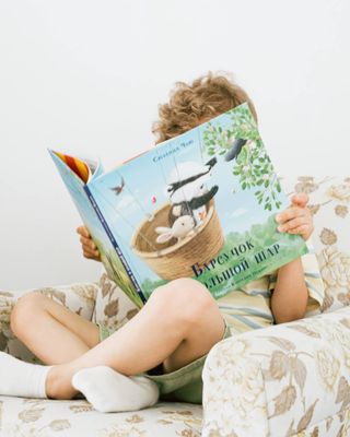 Серия книг про Барсучка
