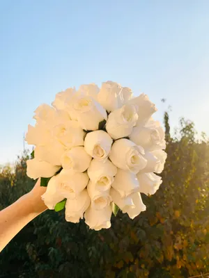 Kelin Guli, sun'iy Atirgullardan ishlangan