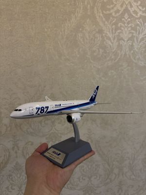 Макет самолета Boeing 767 American и Boeing 787 ANA
