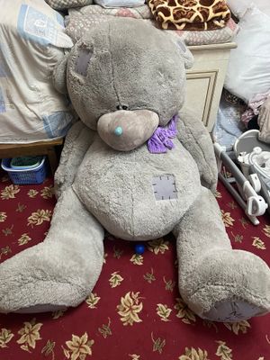 Teddy ayiq kottasidan uyda turgan holos yangi