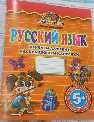 Русский язык, индивидуальные занятия
