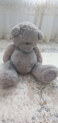 tedy ayiq