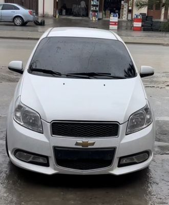 Surochniba Nexa R3