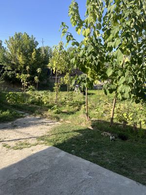 Куктерек да 3 сотик ер участка сотилади