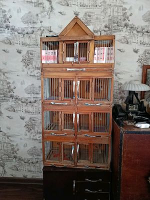 клетка дляптиц