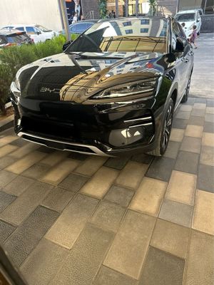 Продам BYD CHAMPION 2025 May