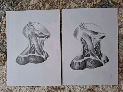 рисование