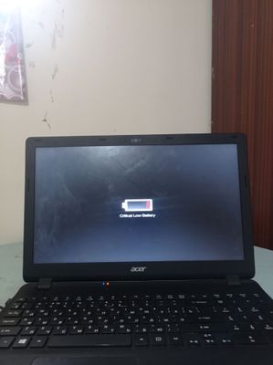 acer