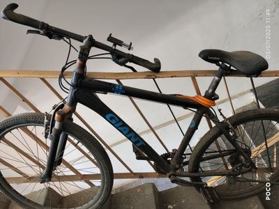 Velosiped arzon narxda