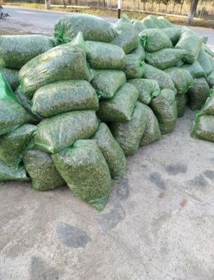 Selos optom tel qling 20.000