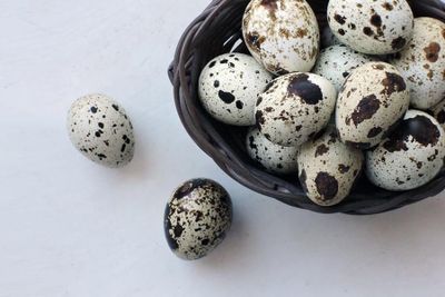 Bedana tuxum optim
