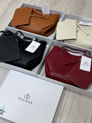 POLENEKICHIGI