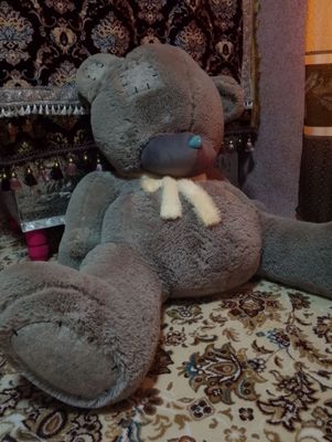 Teddy bear