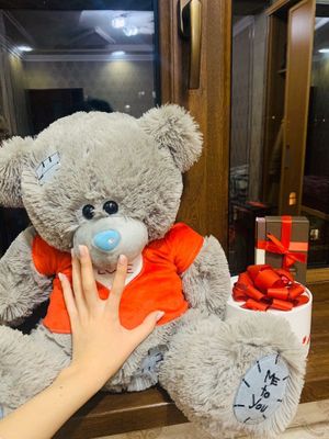 teddy