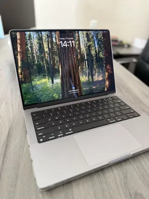 Ipad m3 pro 14 ideal