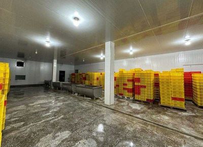 Продаётся база Зангиатинский район