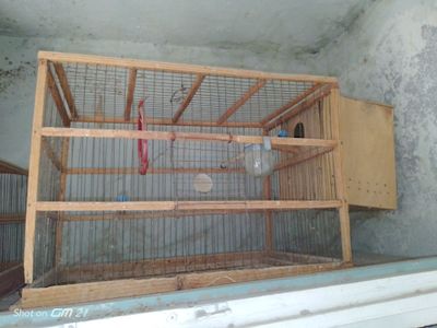 Клетки для птиц 2 штуки