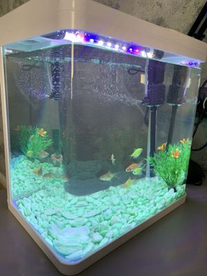 Akvarium 20litr yengi sotiladi аквариум