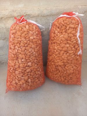 Bodom sotiladi 50 kg, 2 qop
