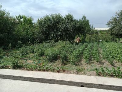 Продается земельный участок делими 5 соток Юкори Чирчик Тоштогизок ...