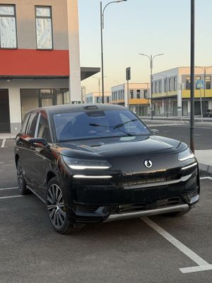 Denza N9 full 2025 v nalichii