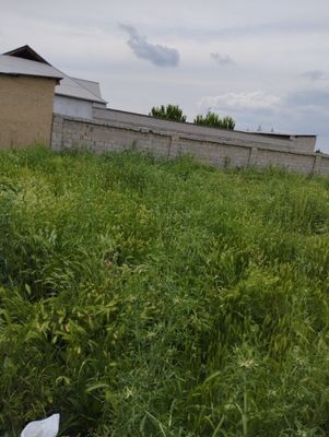 Toshkent shahar Yangihayot tumanida hovli sotiladi