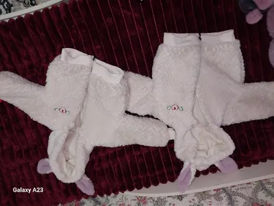 Quyonchalik asal qizchalarimiz uchun