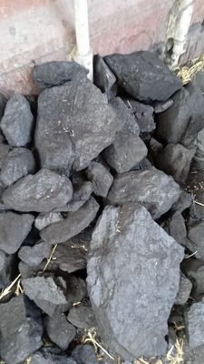 Ангрен кумр шашлик учун уголь для шашлыка Ангренский сартавой
