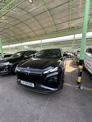 Dongfeng Aeolus Gibrit