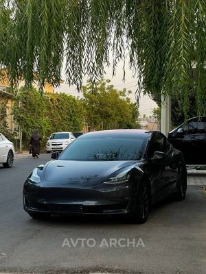 Tesla model 3 dual motor