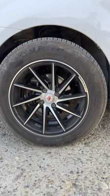 Vossen saka 15 razmer balon 1000km yurigan yangiday turipti