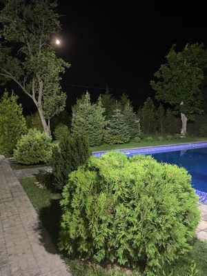 Кибрай тумани, ФАН ҳудуди, набережная ёқасида ер сотилади. — К