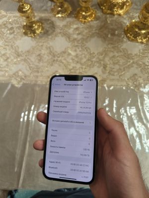 Iphone 13 pro ideal radnoy