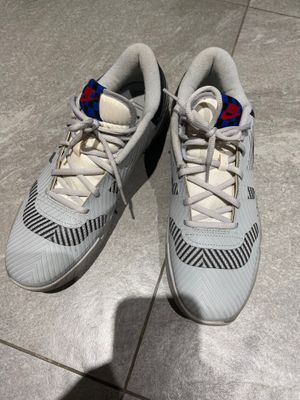 Мужские кроссовки NIKE
