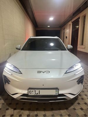 Byd Song Champion