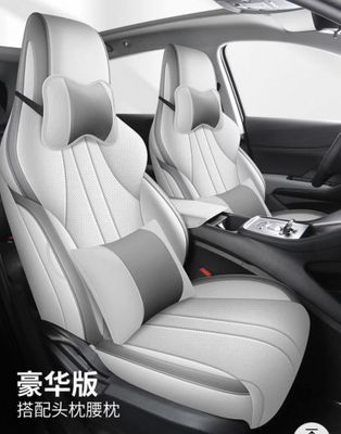 Чехол для BYD Song plus chanpion