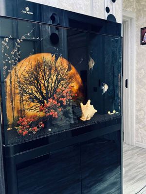 Аквариум продается