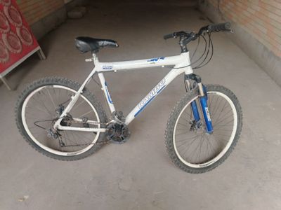 Rombo alumen rama