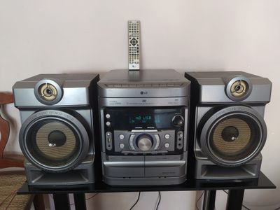 LG arginal fleshka