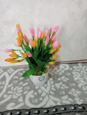 lola gullar sotiladi