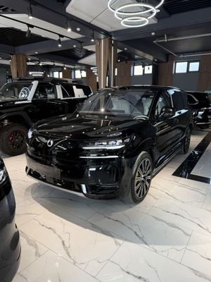 Denza N9 Фулл В наличии с Гарантией