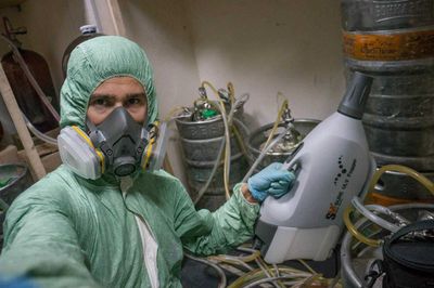 Дезинфекция Dezinfeksiya Дезинсекция Дератизация крыс мышей блох