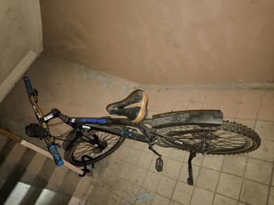 Velosiped alyumeni