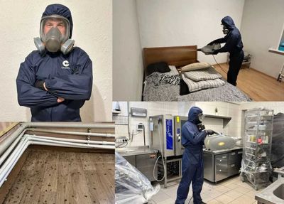 Уничтожение Тараканов Клопов Блох Дезинфекция Dizinfeksiya Dezin Dizen