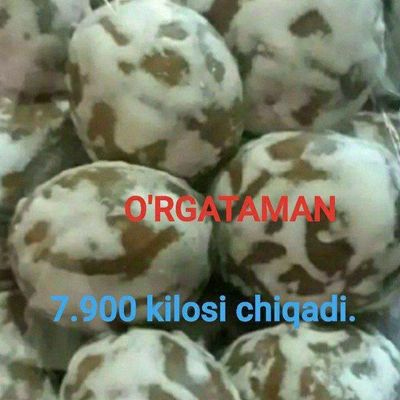 O'rgataman pryanik 400$