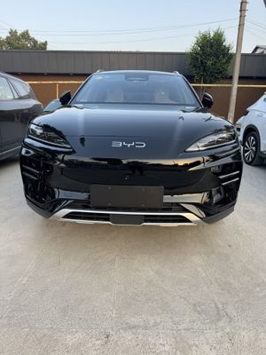 Byd chempion smart