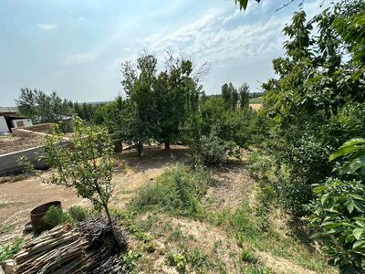 Uchaska bor PARKENTDA